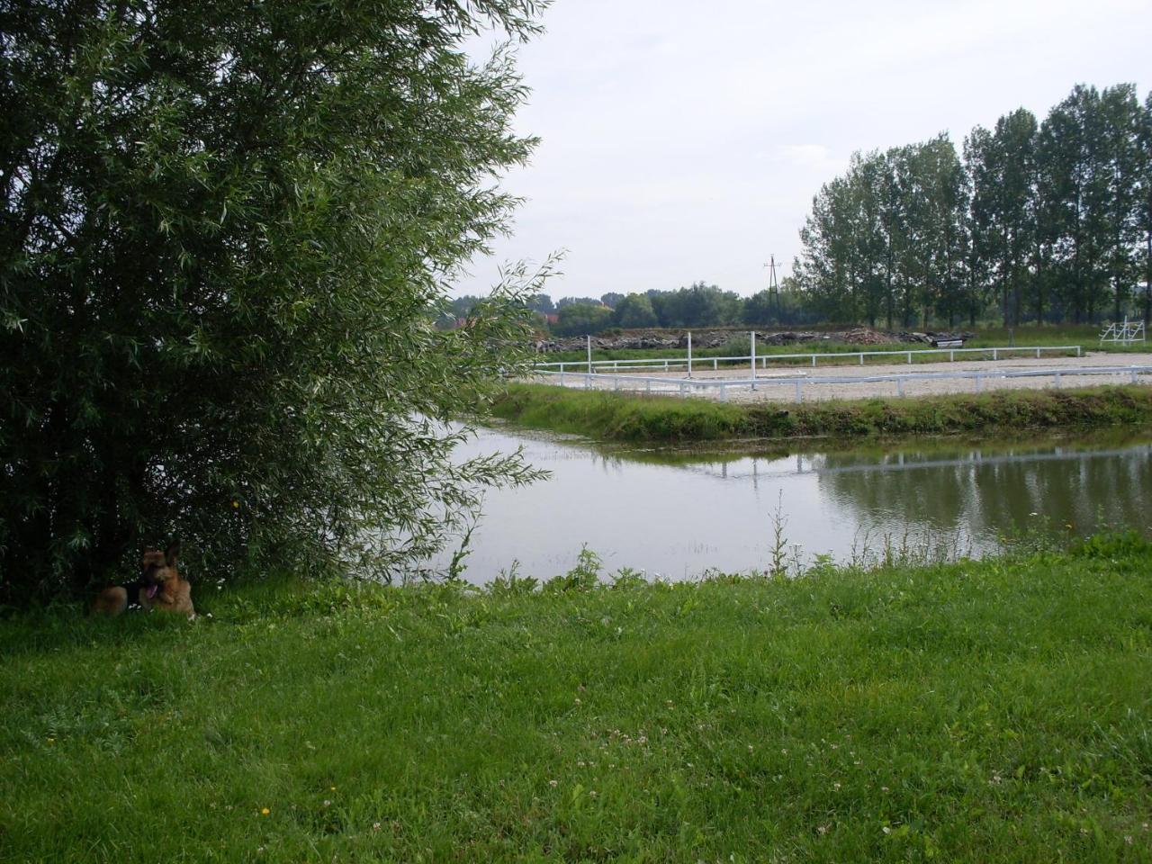 Nagybajcsi Lovaspark Es Otthon Vendeghaz Exteriör bild